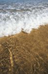 Sunshine Beach At Noosa, Sunshine Coast Stock Photo