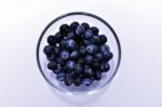 Sweet Blueberry Stock Photo