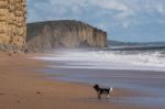 Jurassic Coastline At Lyme Regis Stock Photo