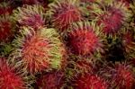 Rambutan Background Stock Photo