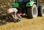 Agriculture Stock Photo