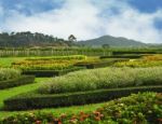 Garden In The Valley Stock Photo