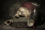 Still Life With Coffee Beans Stock Photo