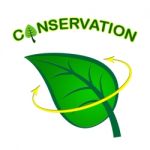 Leaf Conservation Represents Go Green And Conserving Stock Photo