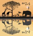 Savana With Giraffes, Herons And Elephant Stock Photo