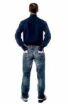 Middle Aged Casual Man From Back Stock Photo