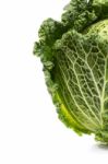 Fresh Savoy Cabbage Stock Photo