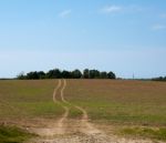 Way In Green Field Stock Photo