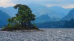 Tree On Derwent Water Stock Photo