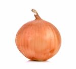 Fresh Onion Isolated On White Background Stock Photo