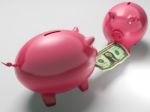 Piggybanks Fighting Over Money Shows Monetary Consumption Stock Photo