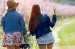 Two Beautiful Young Women With A Vintage Bike In The Field Stock Photo