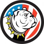Bulldog Head Usa Flag Circle Cartoon Stock Photo
