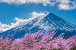 Fuji Mountain And Cherry Blossoms In Spring, Japan Stock Photo