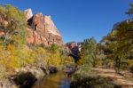 Cottonwood Trees Along The Virgin River Stock Photo