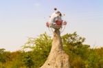 Planet Kalahari In Botswana Stock Photo