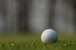 Golf Ball On Green Grass Stock Photo