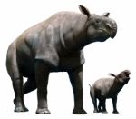 Paraceratherium With Calf Stock Photo