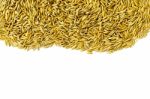 Top View Of Paddy Rice And Rice Seed On The White Background For Isolated Stock Photo