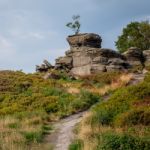 Scenic View Of Brimham Rocks In Yorkshire Dales National Park Stock Photo