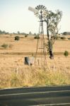 Cows And A Windmill In The Countryside Stock Photo