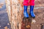 Legs Of Little Girl Standing In A Pool Of Autumn Stock Photo