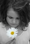 Girl With Daisy Stock Photo