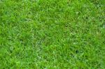 Football Stadium Grass Stock Photo