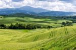 Farmland In Val D'orcia Tuscany Stock Photo