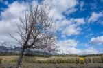 Autumn Colours In Wyoming Stock Photo