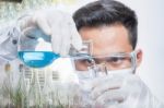 Scientists Are Experimenting Stock Photo