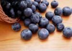 Blueberry Stock Photo