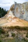 Orange Spring Mound Stock Photo