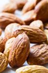 Almond Stock Photo