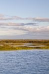 Natural Ria Formosa Marshlands Stock Photo