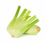 Fresh Fennel Isolated Stock Photo