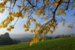 Countryside Stock Photo