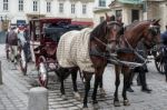 Horse And Carriage For Hire In Vienna Stock Photo