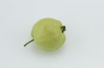 Guava Stock Photo