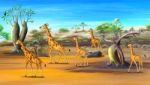 African Giraffes Family Walking At The Savannah Stock Photo