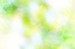 Abstract Spring Green Background And Light Reflect Stock Photo