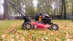 Fall Leaves And Yard Work Stock Photo