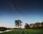 Night Sky With Stars Over Trees Stock Photo