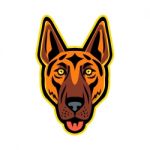 German Shepherd Dog Head Front Mascot Stock Photo