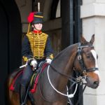 London - July 30 : Kings Troop Royal Horse Artillery In Whitehal Stock Photo