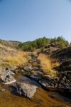 A Stream In Autumn Stock Photo