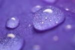 Droplet On Purple Background Stock Photo