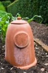 Terracotta Rhubarb Forcer Stock Photo