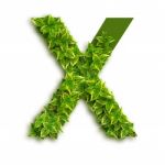 Letter X With Leaves Stock Photo