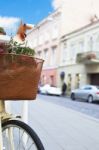 Bicycle With Basket Stock Photo